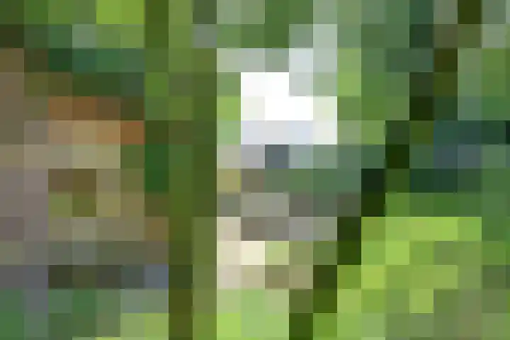 Dr. Kortmannweg 1 Venray thumbnail 59