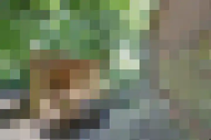 Dr. Kortmannweg 1 Venray thumbnail 60