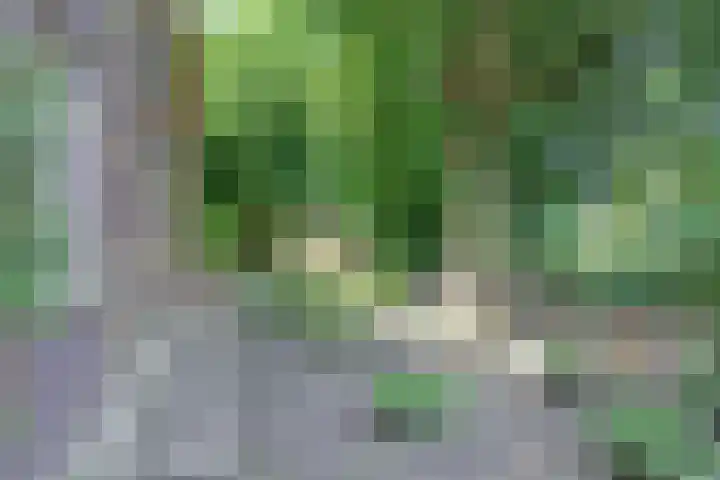 Dr. Kortmannweg 1 Venray thumbnail 61