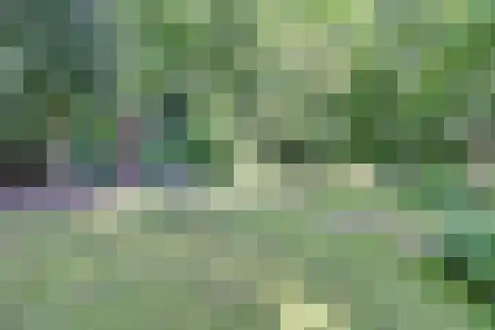 Dr. Kortmannweg 1 Venray thumbnail 62