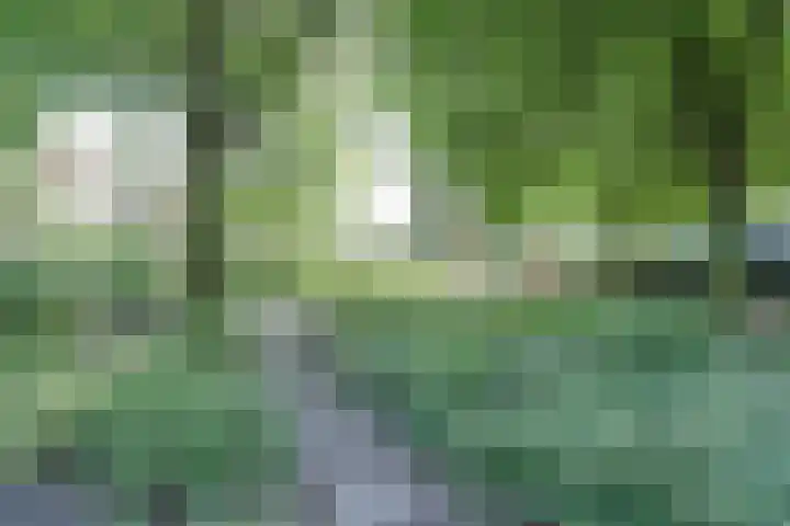 Dr. Kortmannweg 1 Venray thumbnail 64