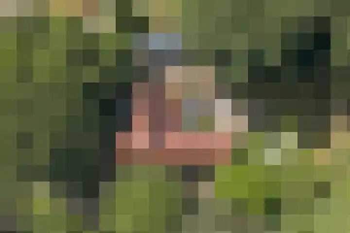 Dr. Kortmannweg 1 Venray thumbnail 66