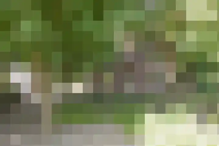 Dr. Kortmannweg 1 Venray thumbnail 67