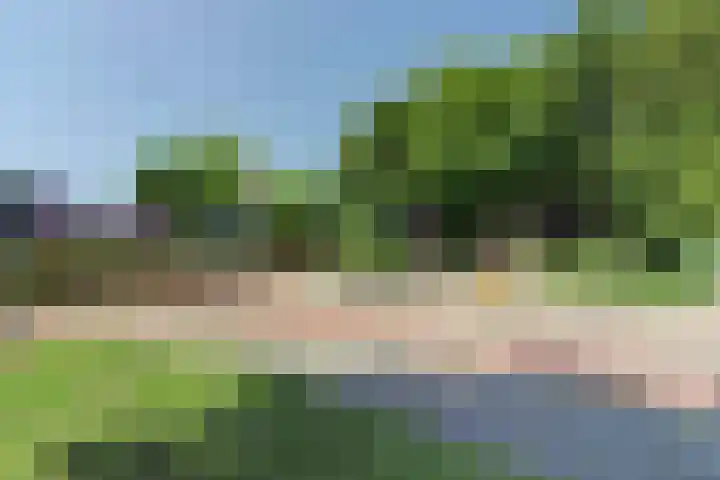 Dr. Kortmannweg 1 Venray thumbnail 68