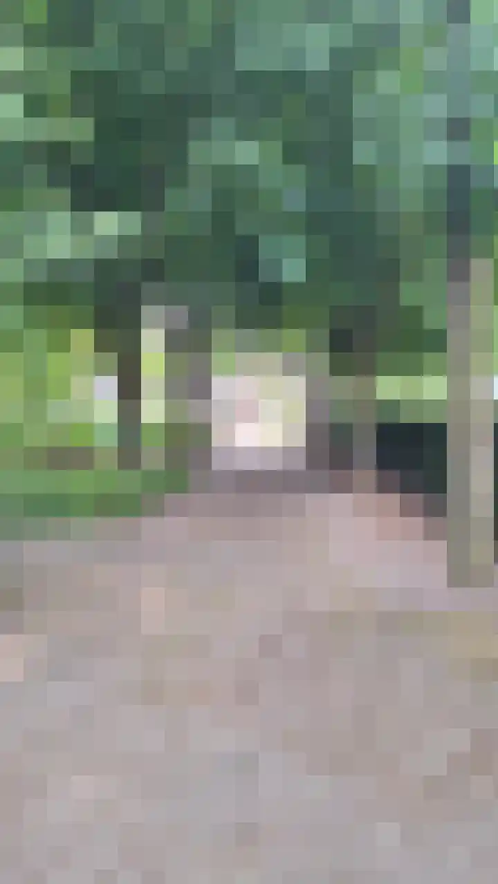 Dr. Kortmannweg 1 Venray thumbnail 7
