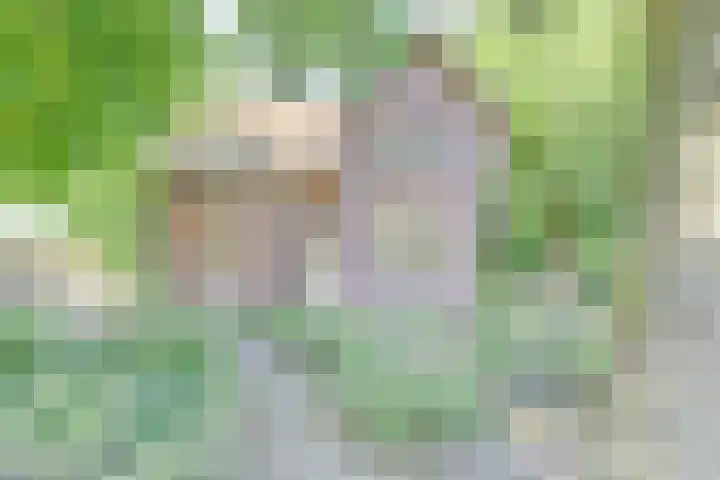 Dr. Kortmannweg 1 Venray thumbnail 75
