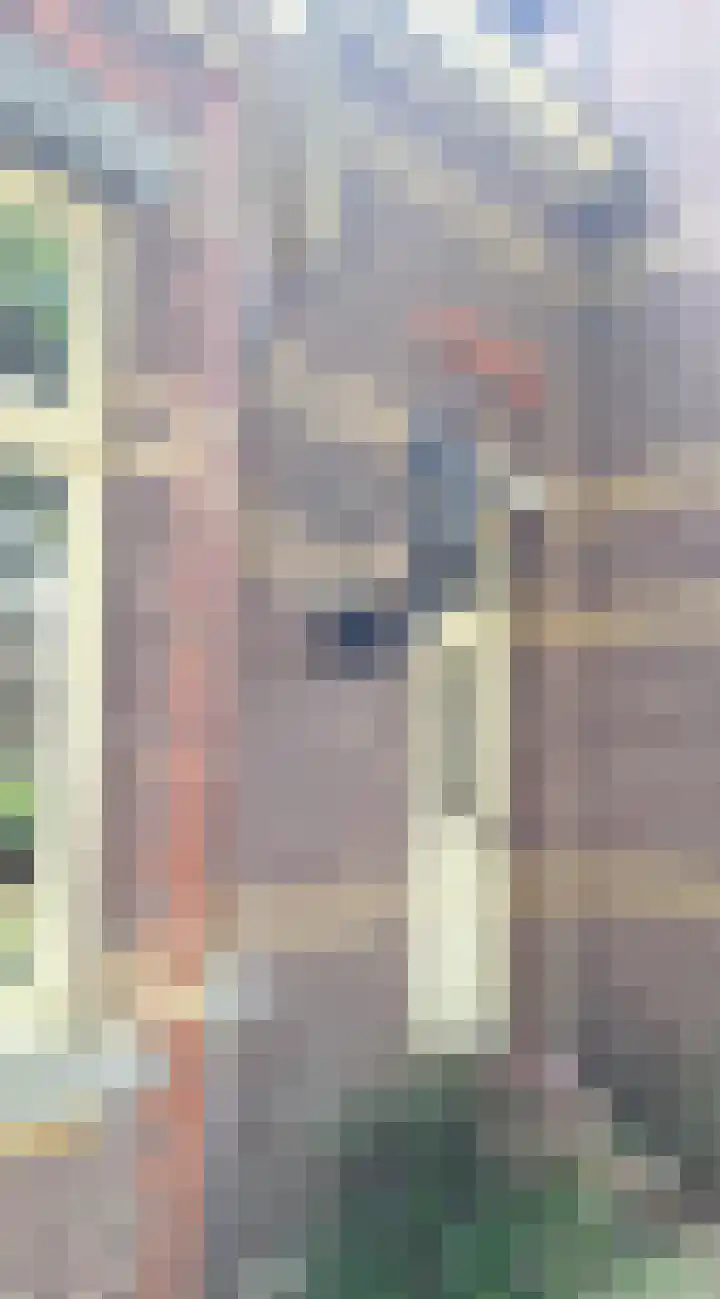 Dr. Kortmannweg 1 Venray thumbnail 8