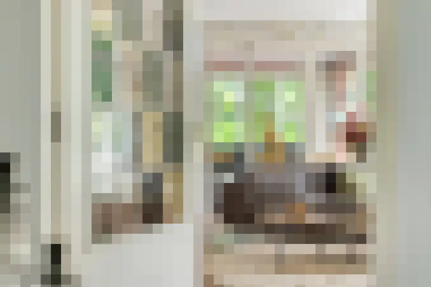 Dr. Kortmannweg 16 Venray thumbnail 11