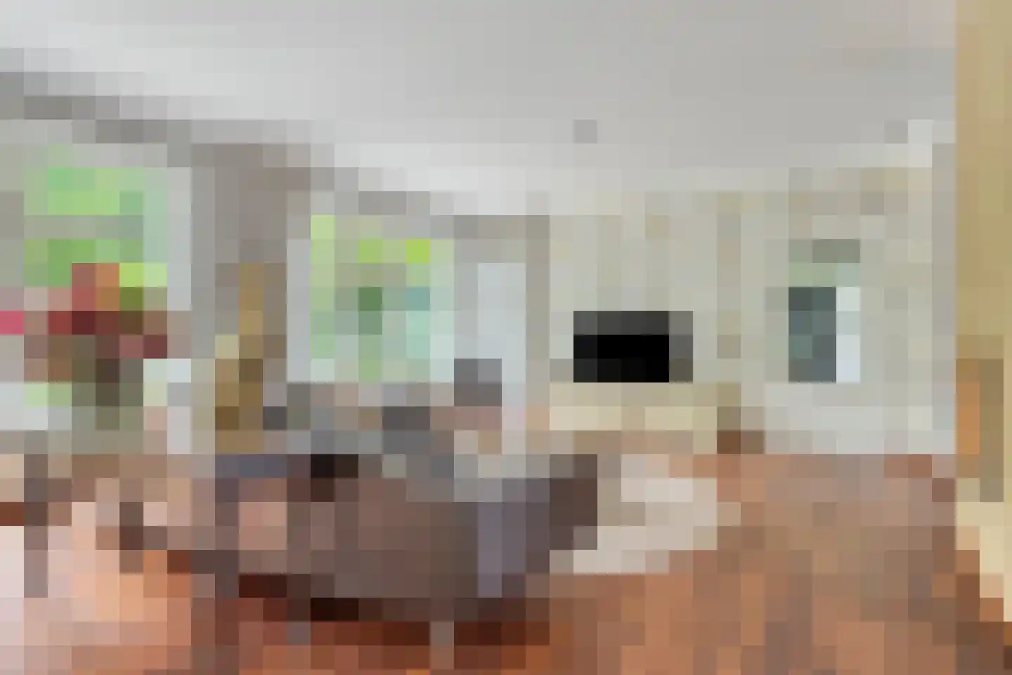 Dr. Kortmannweg 16 Venray thumbnail 15
