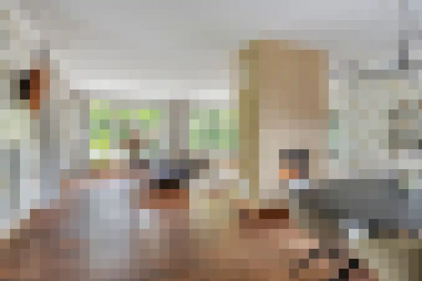 Dr. Kortmannweg 16 Venray thumbnail 18