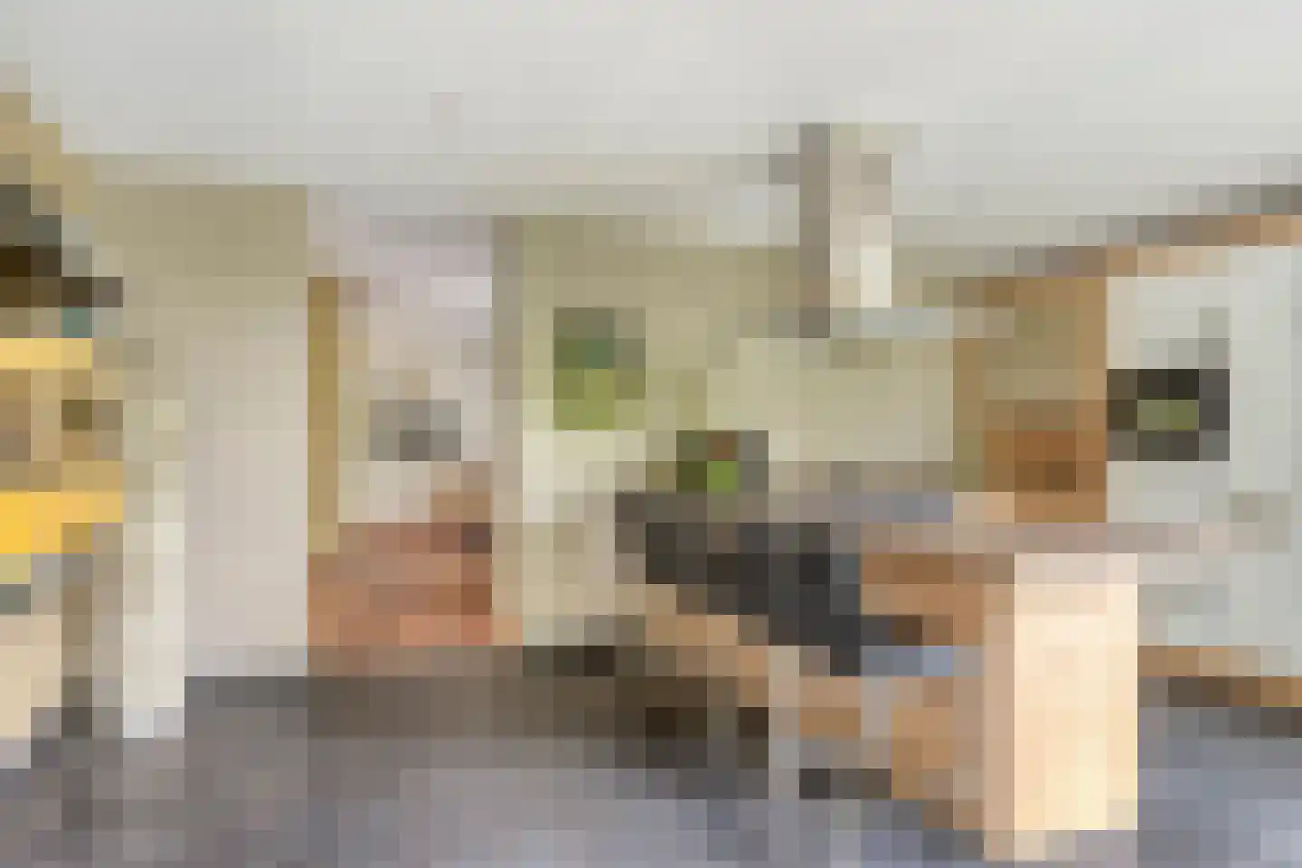 Dr. Kortmannweg 16 Venray thumbnail 19