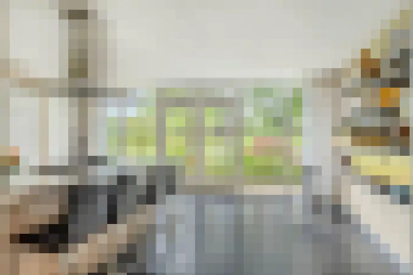 Dr. Kortmannweg 16 Venray thumbnail 20