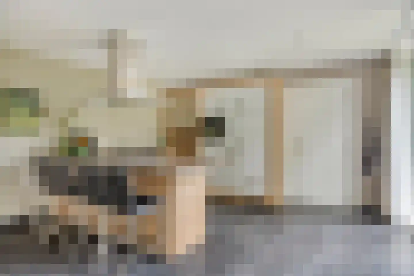 Dr. Kortmannweg 16 Venray thumbnail 21