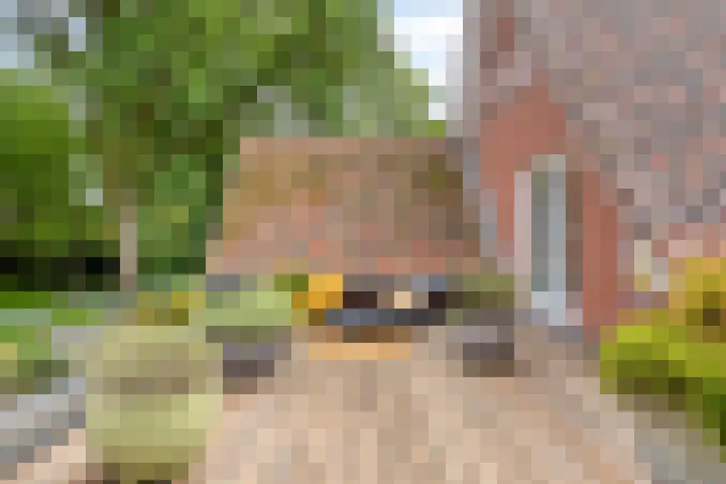 Dr. Kortmannweg 16 Venray thumbnail 40