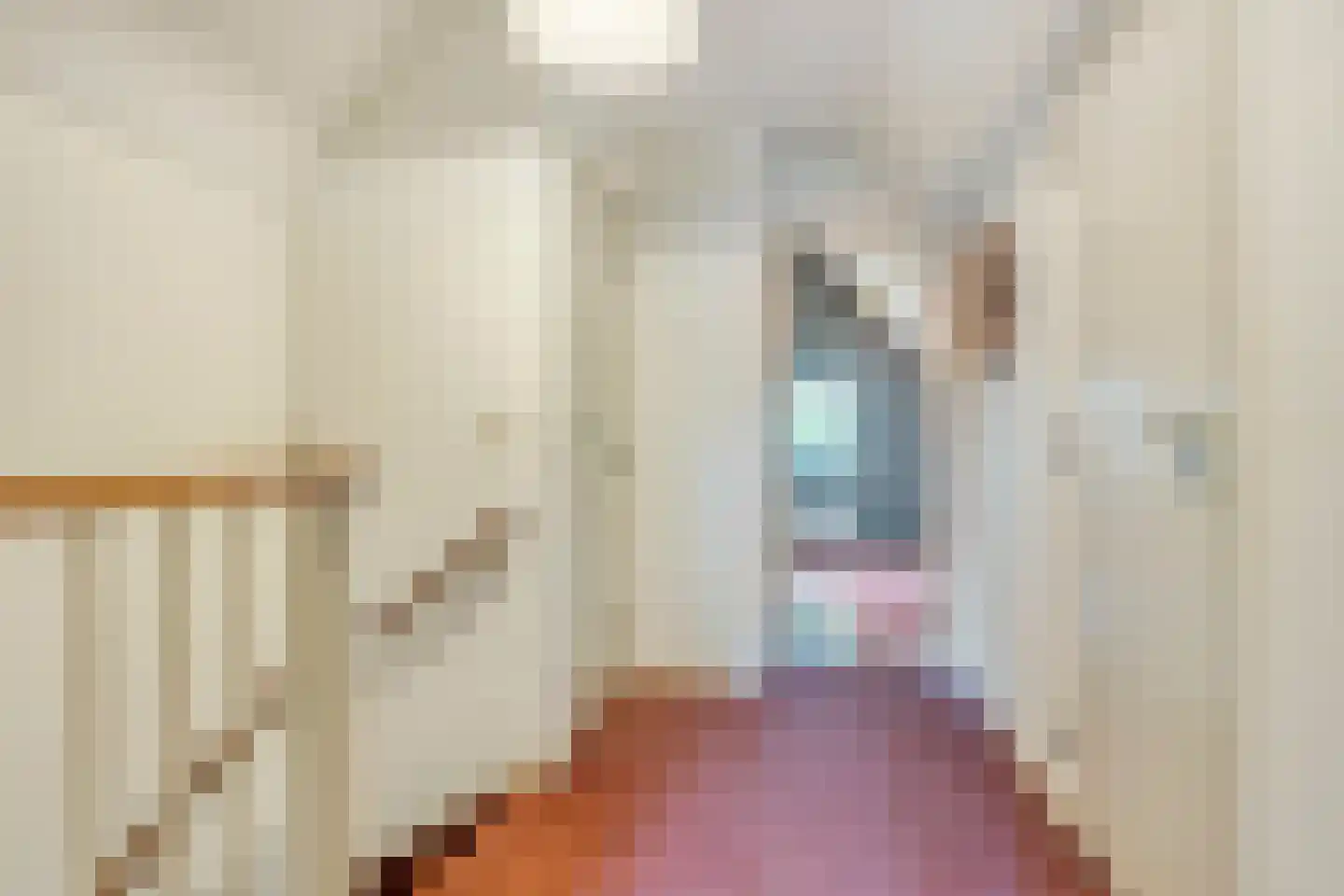 Dr. Kortmannweg 16 Venray thumbnail 42