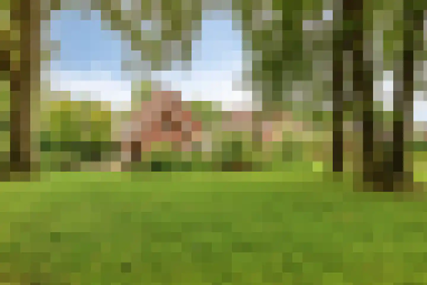 Dr. Kortmannweg 16 Venray thumbnail 54