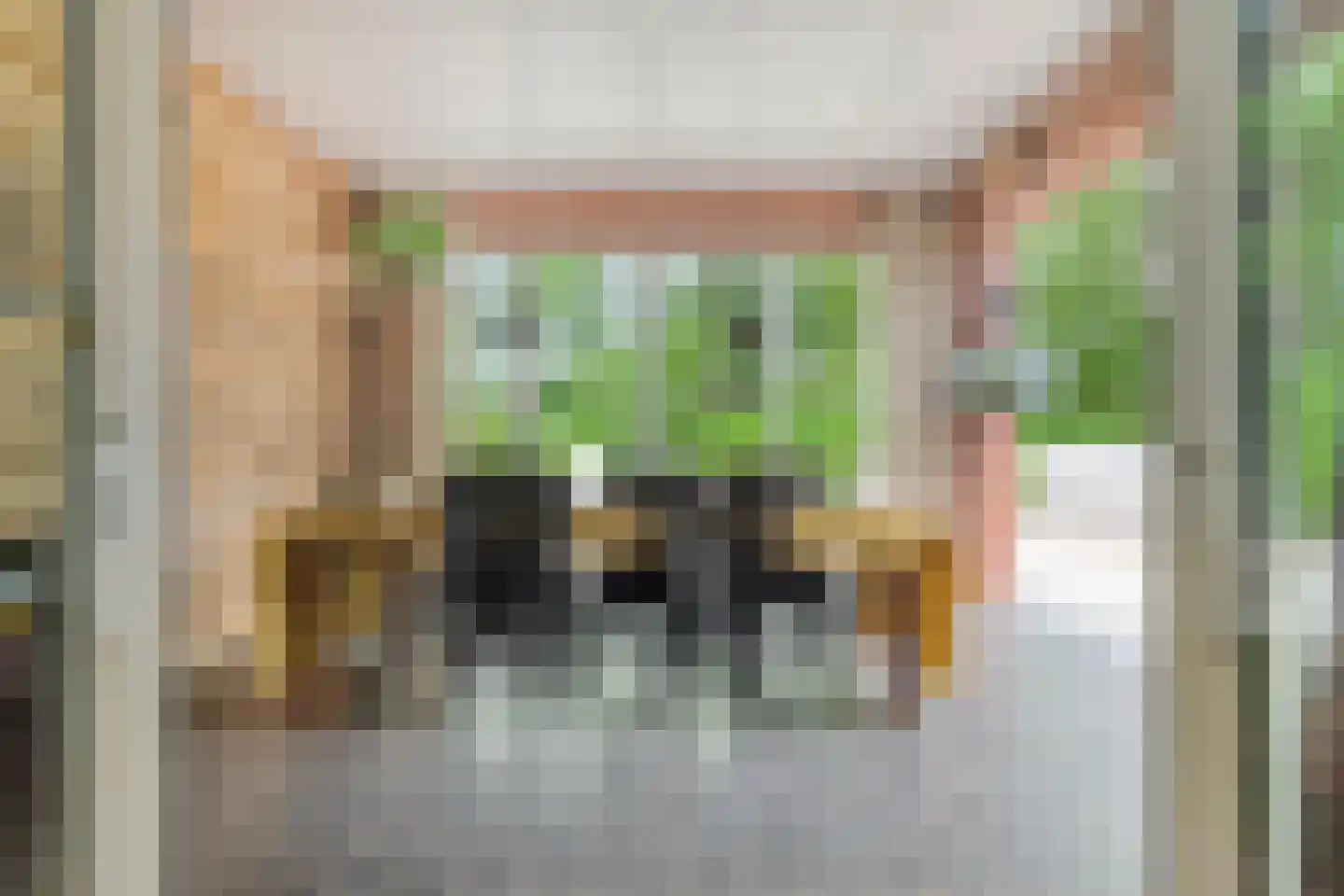 Dr. Kortmannweg 16 Venray thumbnail 55