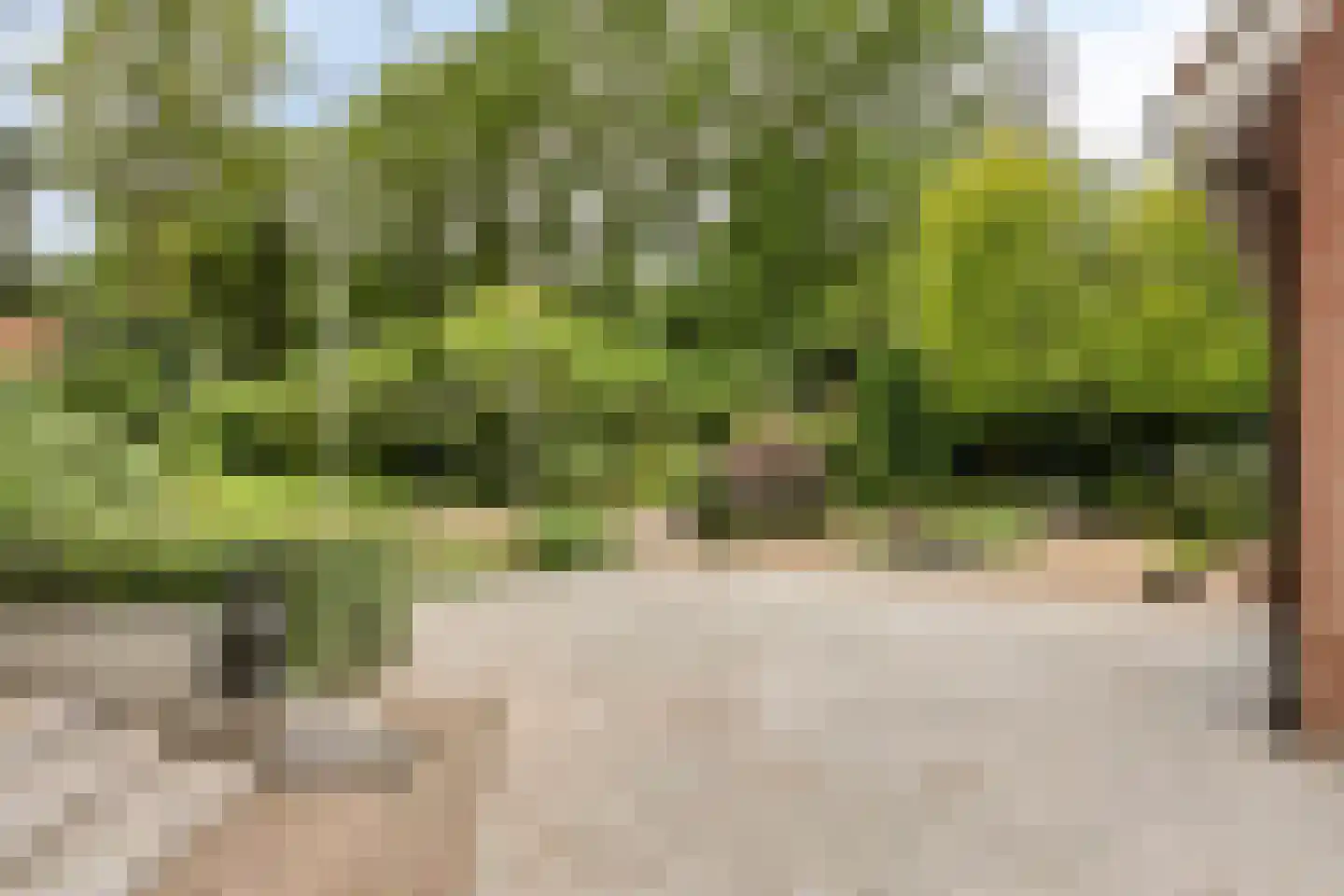 Dr. Kortmannweg 16 Venray thumbnail 59