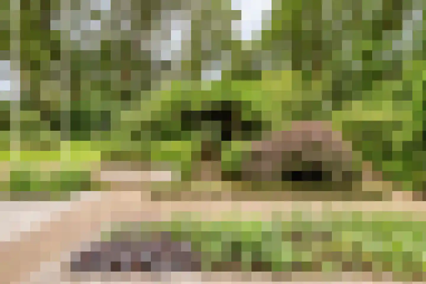 Dr. Kortmannweg 16 Venray thumbnail 62