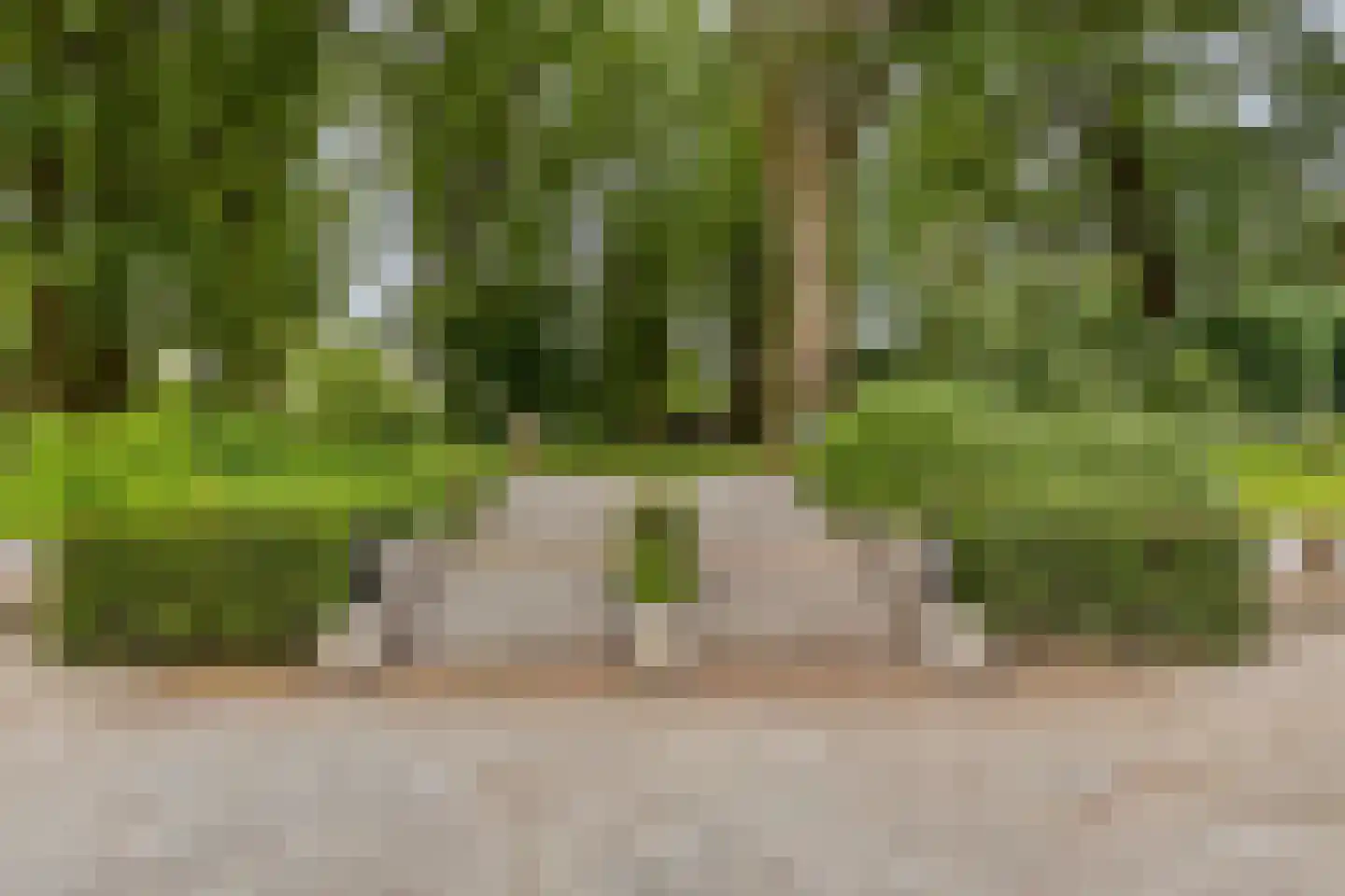 Dr. Kortmannweg 16 Venray thumbnail 63