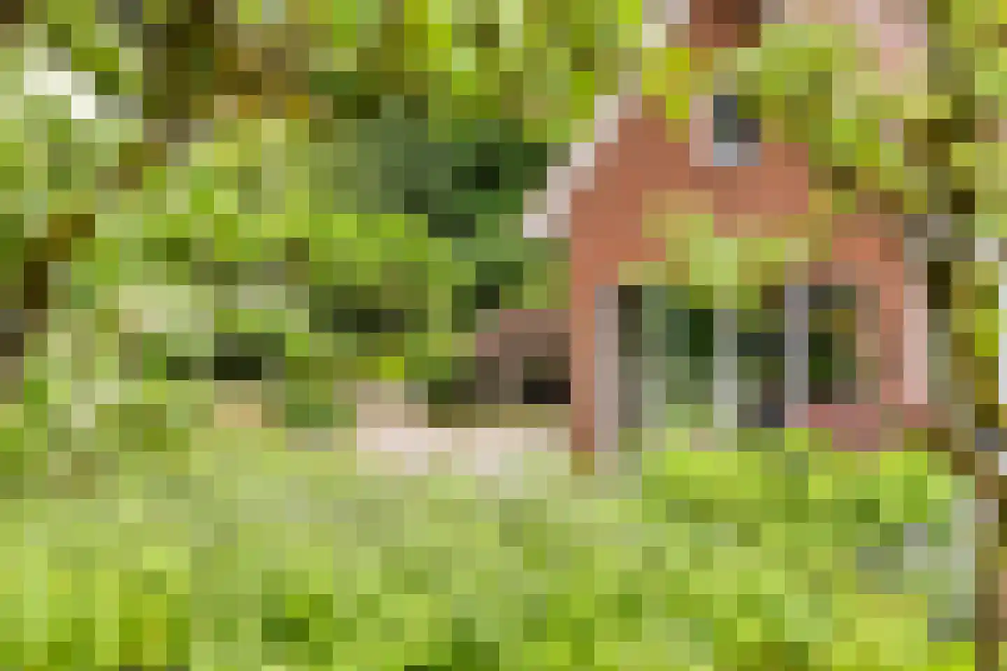 Dr. Kortmannweg 16 Venray thumbnail 64