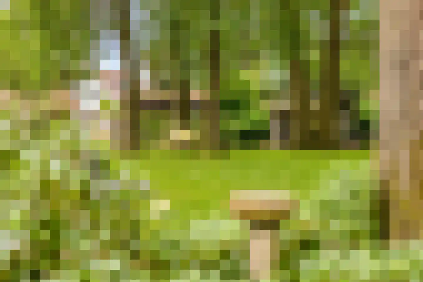 Dr. Kortmannweg 16 Venray thumbnail 66