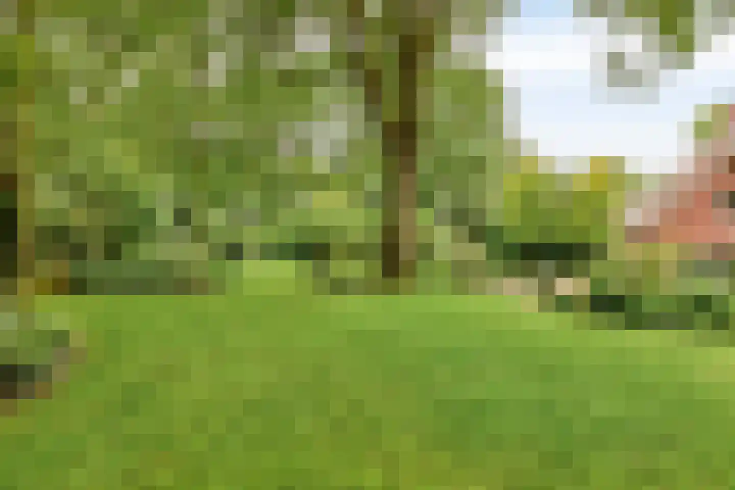 Dr. Kortmannweg 16 Venray thumbnail 68