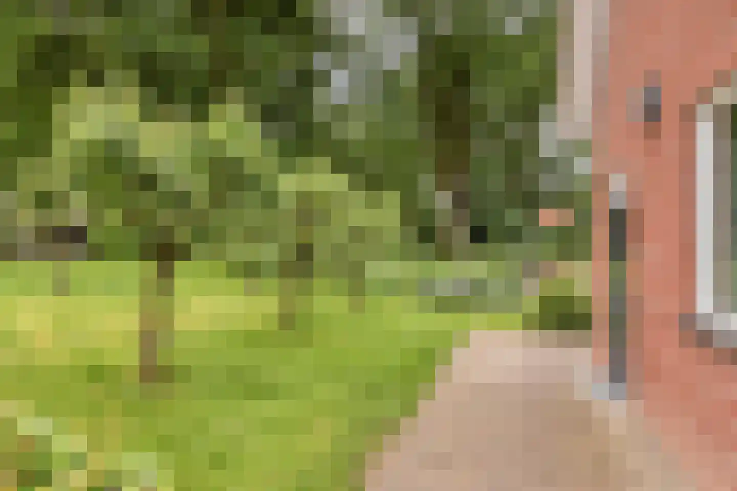 Dr. Kortmannweg 16 Venray thumbnail 69