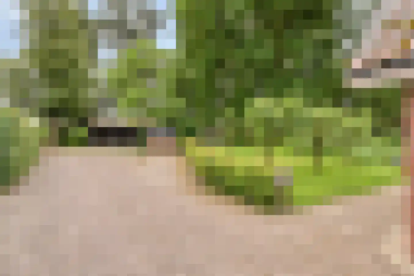 Dr. Kortmannweg 16 Venray thumbnail 70