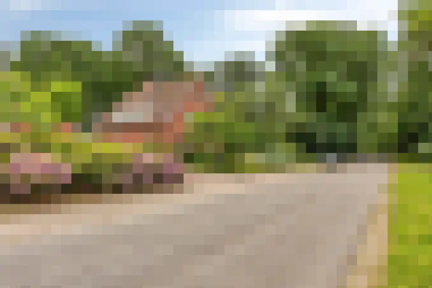 Dr. Kortmannweg 16 Venray thumbnail 77