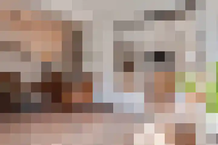 Dr. Kortmannweg 22 Venray thumbnail 13
