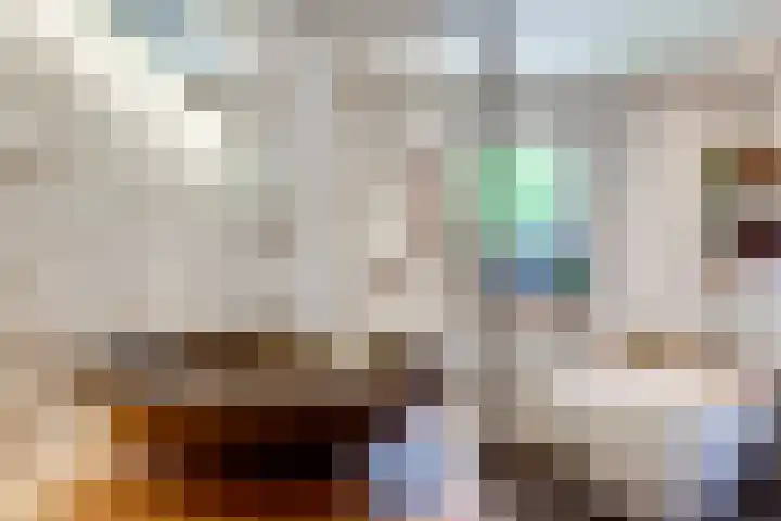 Dr. Kortmannweg 22 Venray thumbnail 27