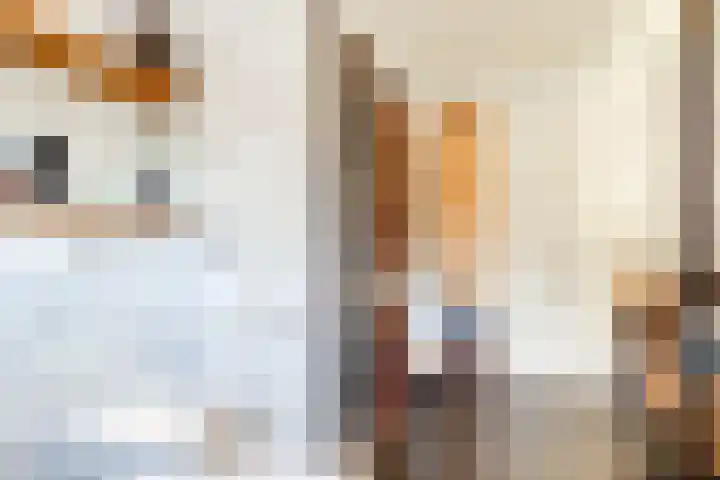 Dr. Kortmannweg 22 Venray thumbnail 32