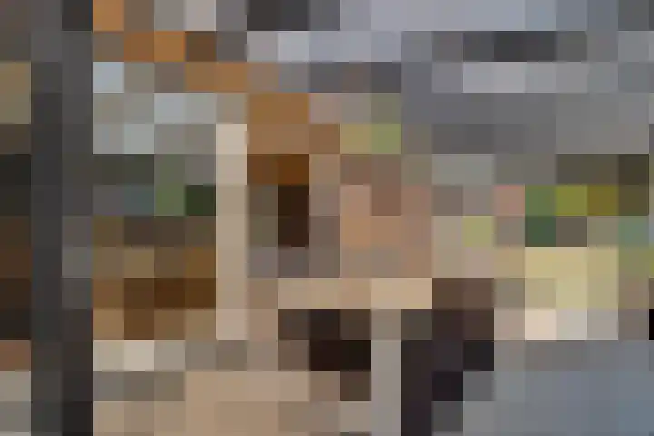 Dr. Kortmannweg 22 Venray thumbnail 48