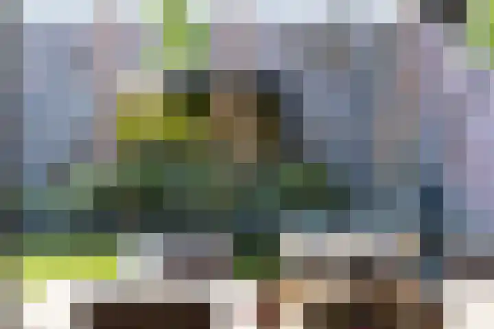 Dr. Kortmannweg 22 Venray thumbnail 49
