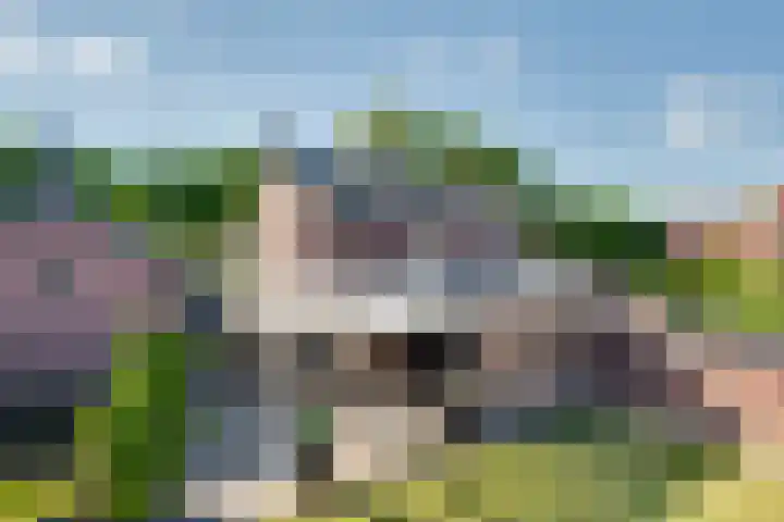 Dr. Kortmannweg 22 Venray thumbnail 56