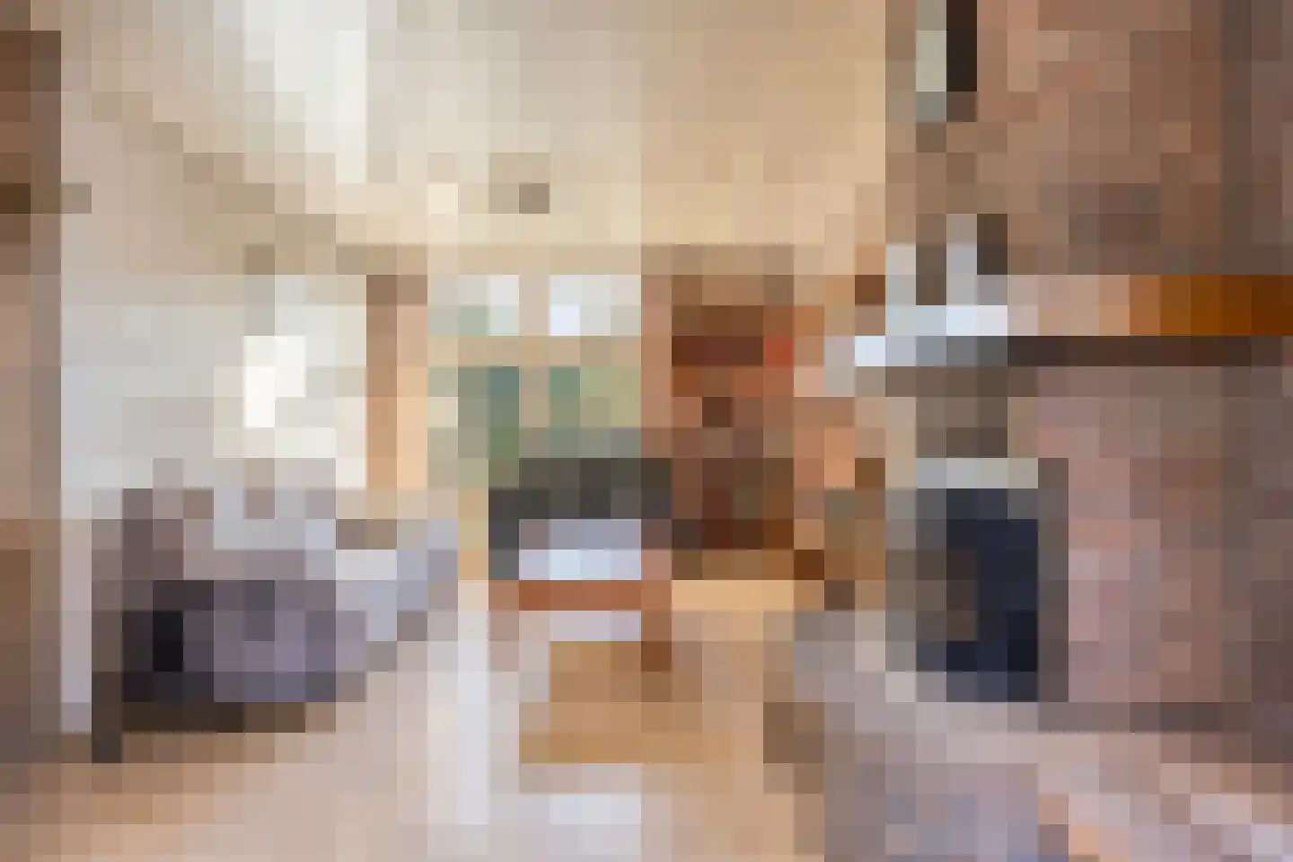 Dr. Kortmannweg 3 A Venray thumbnail 11