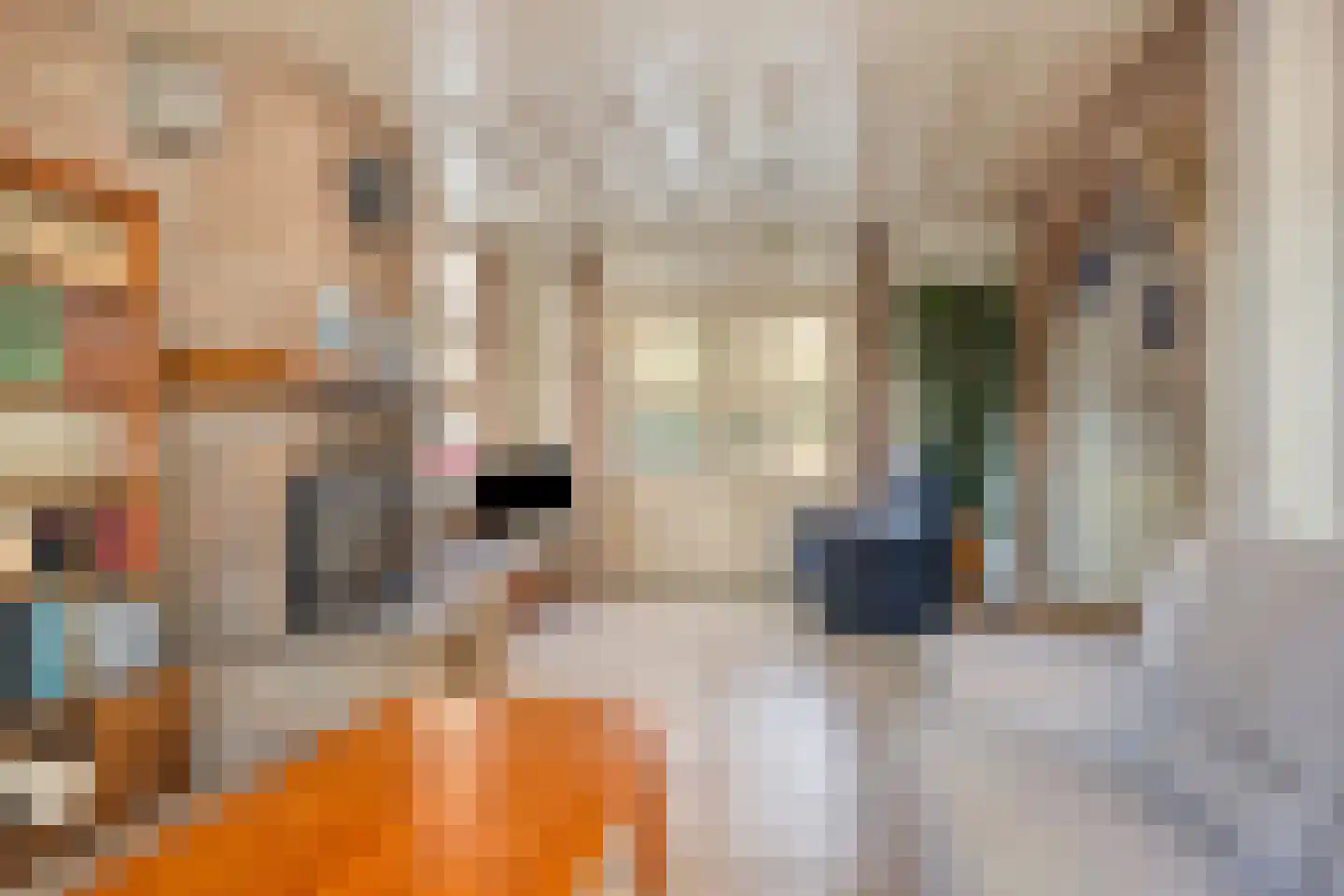 Dr. Kortmannweg 3 A Venray thumbnail 12