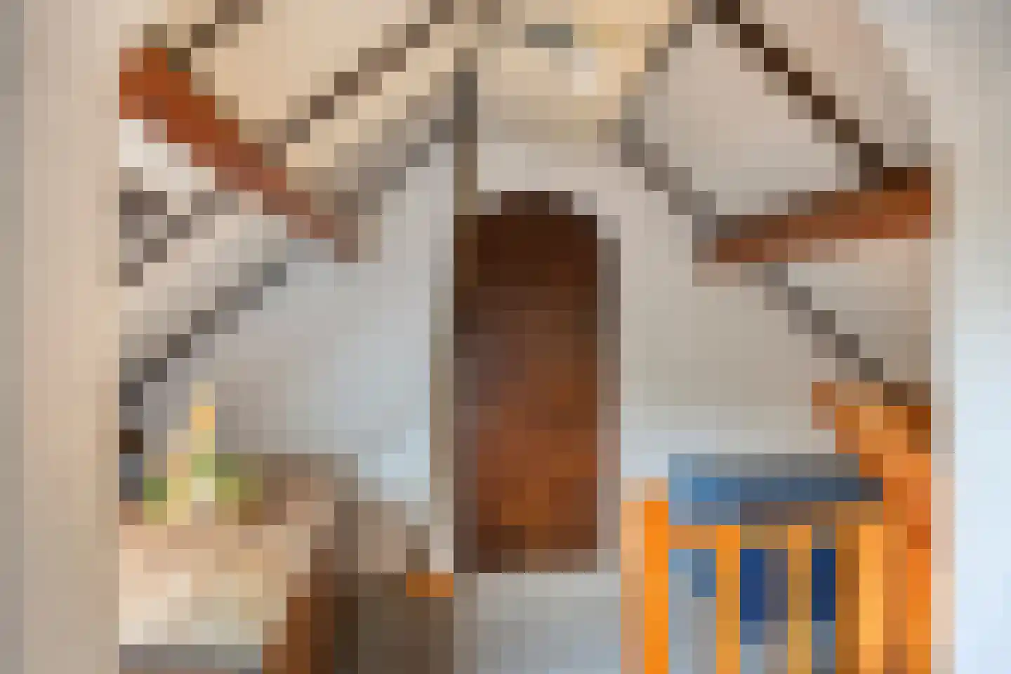 Dr. Kortmannweg 3 A Venray thumbnail 25