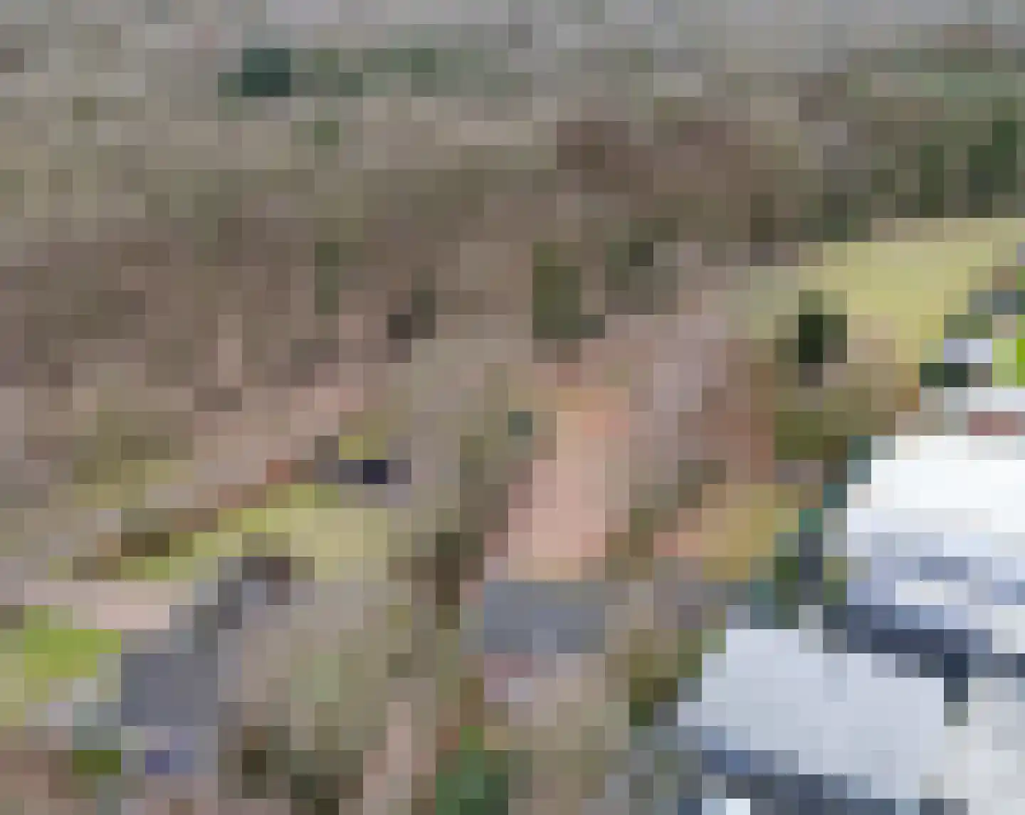 Dr. Kortmannweg 3 A Venray thumbnail 27