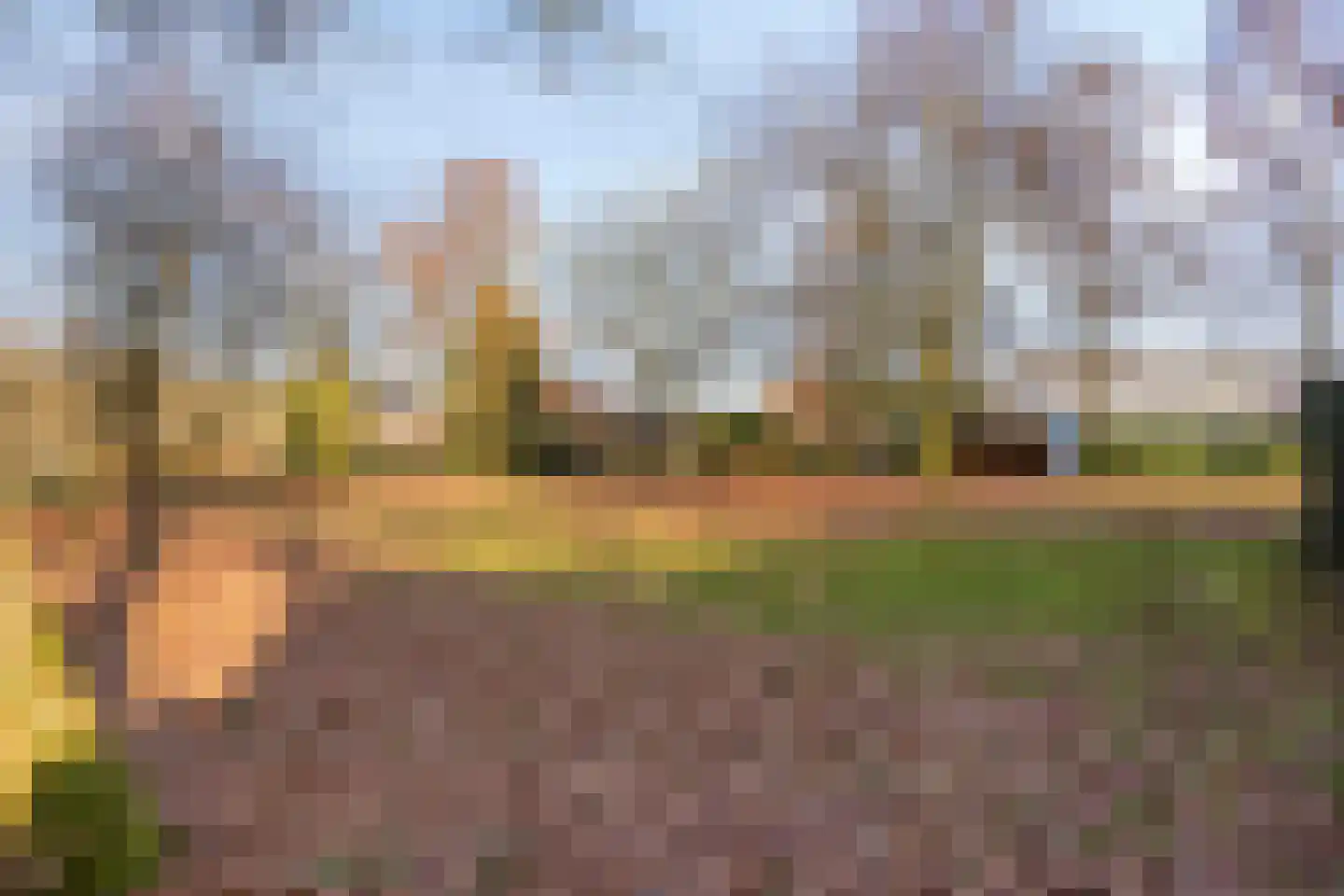 Dr. Kortmannweg 3 A Venray thumbnail 30