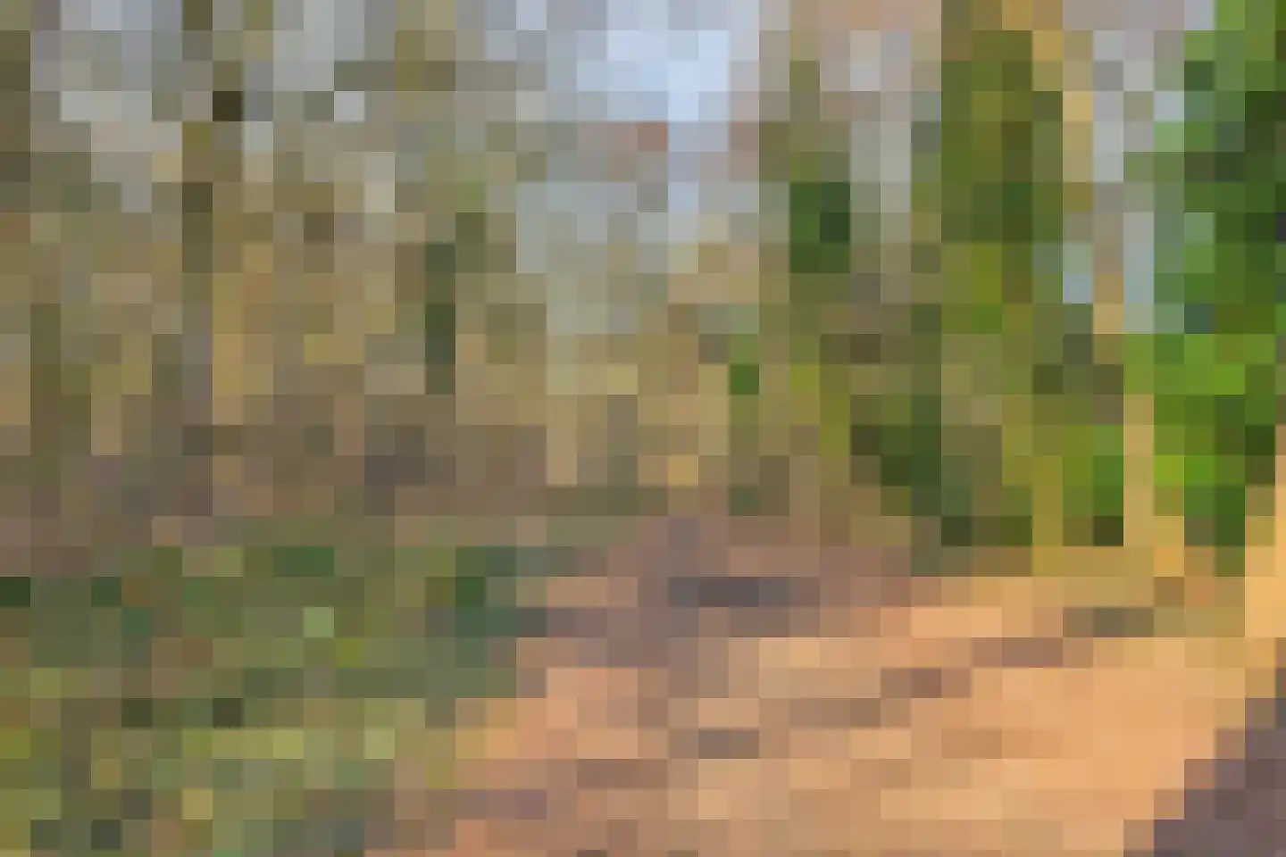 Dr. Kortmannweg 3 A Venray thumbnail 32