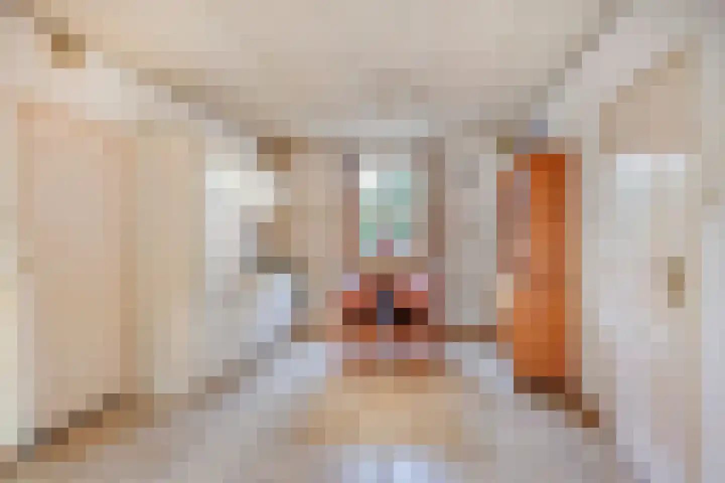 Dr. Kortmannweg 3 A Venray thumbnail 9