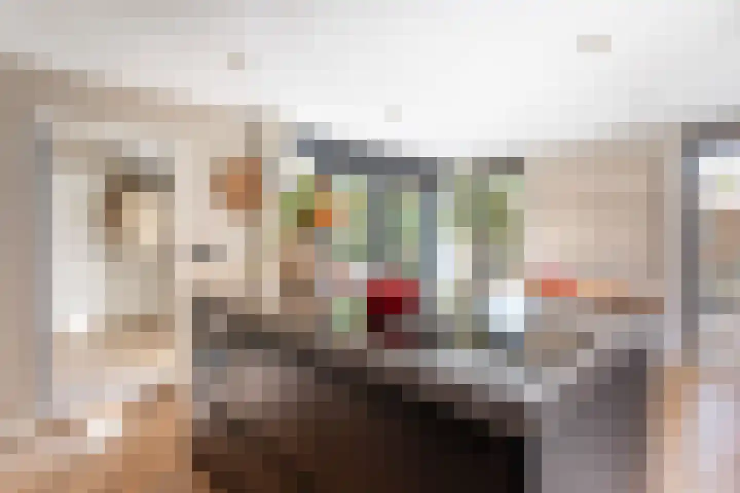 Dr. Kuijperstraat 15 Oldenzaal thumbnail 14