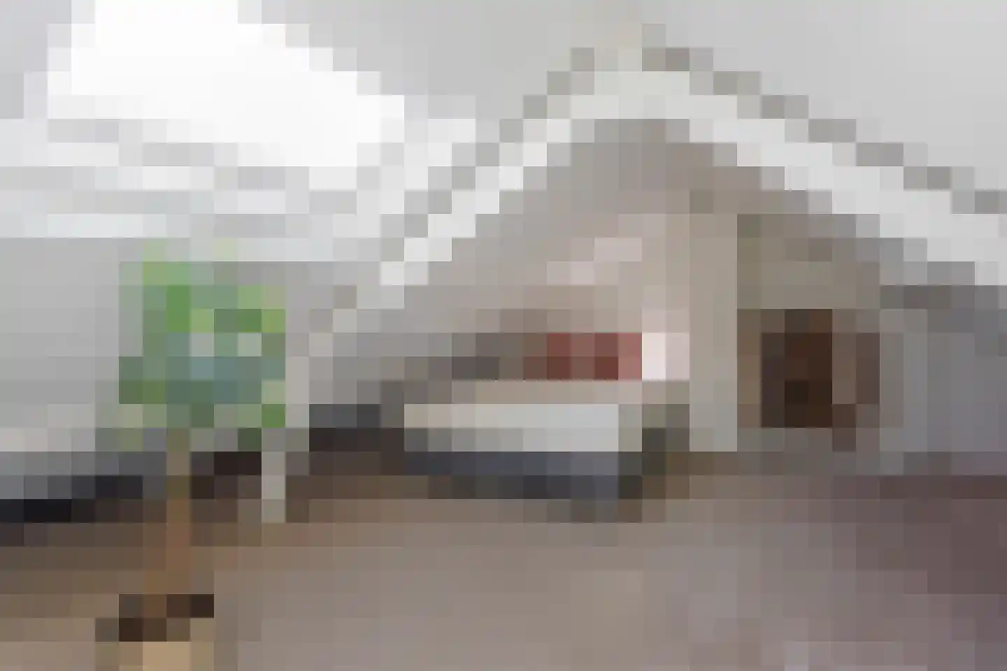 Dr. Kuijperstraat 15 Oldenzaal thumbnail 20