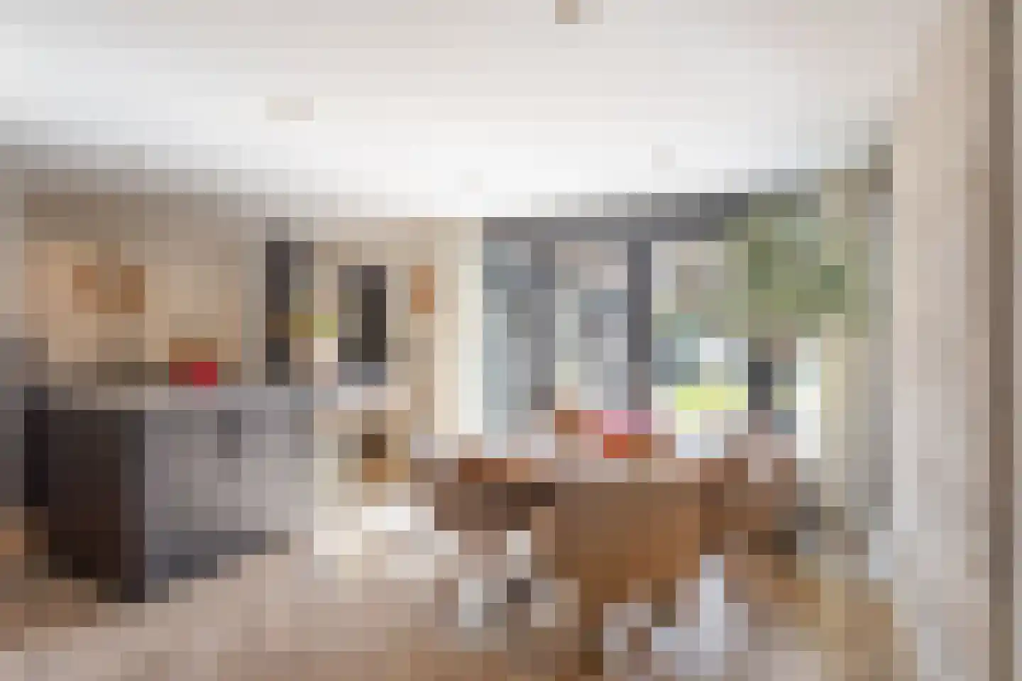 Dr. Kuijperstraat 15 Oldenzaal thumbnail 4