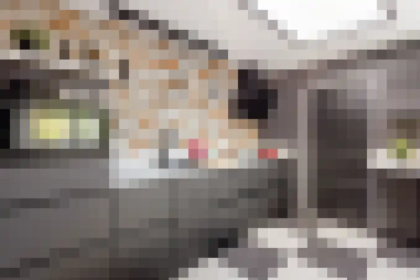 Dr. Kuijperstraat 2 a Oldenzaal thumbnail 14