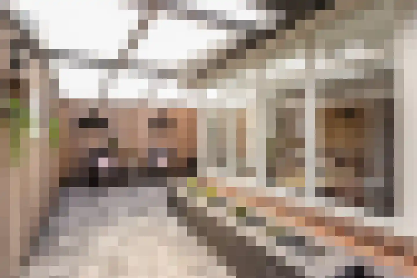Dr. Kuijperstraat 2 a Oldenzaal thumbnail 22