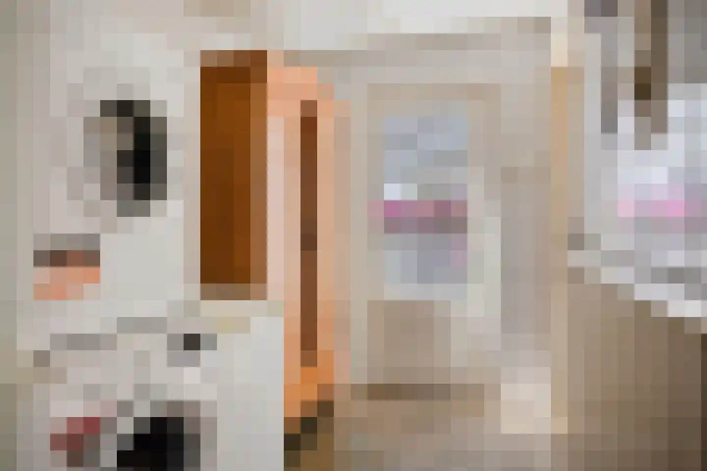 Dr. Kuijperstraat 5 Oldenzaal thumbnail 13