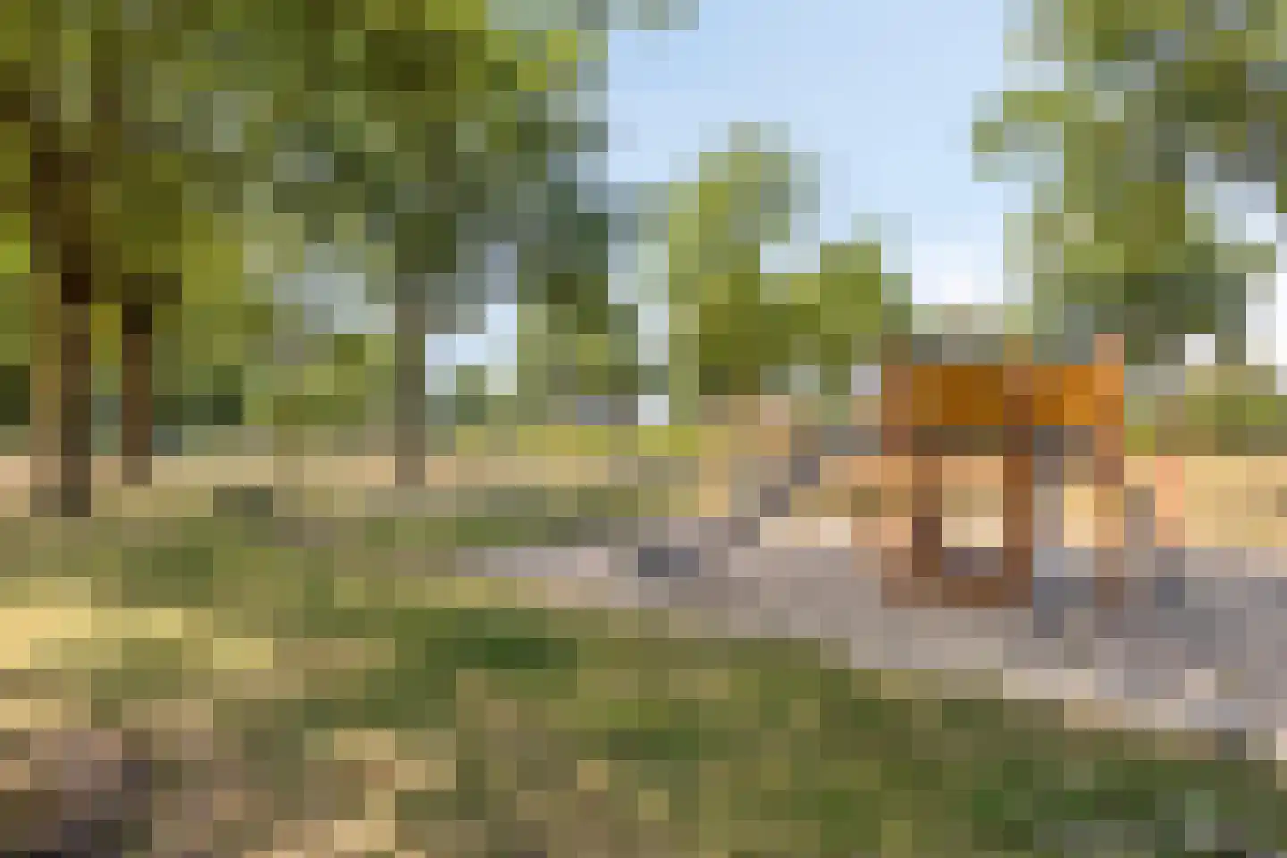 Dr. Kuijperstraat 5 Oldenzaal thumbnail 30